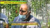 Maiale nei vaccini, lo sapevate?