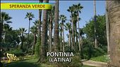 Un vivaio, cinque continenti