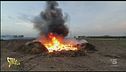 Roghi e discariche illegali a Foggia