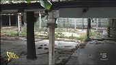 Torino, degrado al Parco del Valentino