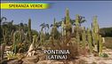 Il New Mexico a Pontinia (Latina) grazie a un vivaio