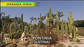 Il New Mexico a Pontinia (Latina) grazie a un vivaio