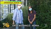 La cappella vivente all'orto botanico di Roma