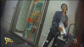 Passeggini in libertà, ma carichi di cibo