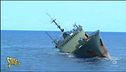 Sea Shepherd, la Onlus che protegge il mare