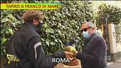 Secondo Tapiro d'oro per Franco Di Mare