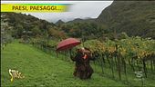 Alla scoperta di vini antichi