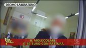 Covid e sanità, il business dei tamponi in Sicilia