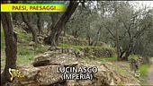 Paesi, paesaggi...a Lucinasco, patria degli ulivi