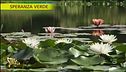 Pontinia, viaggio nella flora asiatica