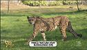 Un aiuto per il Parco "Natura Viva" di Bussolengo
