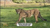 Un aiuto per il Parco "Natura Viva" di Bussolengo