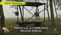 Ritorno alla terra e ai grani antichi