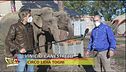 Belle notizie per gli animali