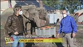 Belle notizie per gli animali