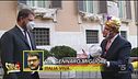 Le previsioni del Vespone