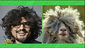 Fisiognomica animale da chef