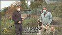 Animali avvelenati con la stricnina