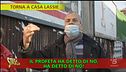 Musulmani e cani, possono convivere?