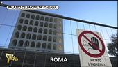 Roma, palazzi e monumenti abbandonati all'Eur