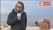 Sanremo e l'idea della nave da crociera