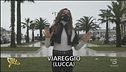 Le oceaniche, l'opera d'arte di Viareggio maltrattata