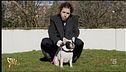 Longinotti e i "bisogni" del cane