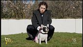 Longinotti e i "bisogni" del cane
