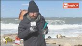 Sedi Rai all'estero, costi necessari?