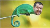 Striscia tra poco