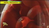 Pomigliano d'Arco, gli ortaggi pregiati (quasi dimenticati)