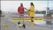Il problema dei porti della Sicilia