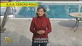 Annunci di lavoro sospetti in Svizzera