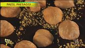 Paesi, paesaggi…nel salernitano, come nascono le nocciole