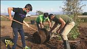 Piantumazione selvaggia, il progetto per l'ambiente