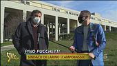 Molise, il centro Covid mai realizzato
