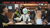 Robot, davvero rubano il lavoro agli umani?