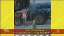 Violenza contro gli animali, il video dei maltrattamenti