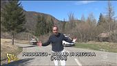 Crollano i pali del telefono, rimessi a posto dopo un anno grazie a Striscia