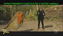 Tecnologie per animali, quando la realtà supera la fantasia
