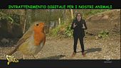Tecnologie per animali, quando la realtà supera la fantasia