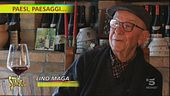 Barbacarlo, un vino unico frutto di un paesaggio speciale