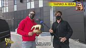 Ibrahimovic fuori dagli Europei, arriva il Tapiro d'oro