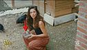 Fiction Folies, errori in serie
