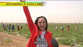 L'oro nascosto del Senegal