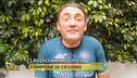 Bike sharing a Torino, si riparte