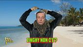 Grease. le vacanze dei politici