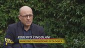 Transizione ecologica, cos'è e come sarà