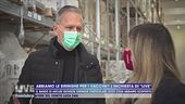 Abbiamo le siringhe per i vaccini? L'inchiesta di "Live"