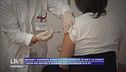 I vaccini non arrivano: di chi è la colpa?